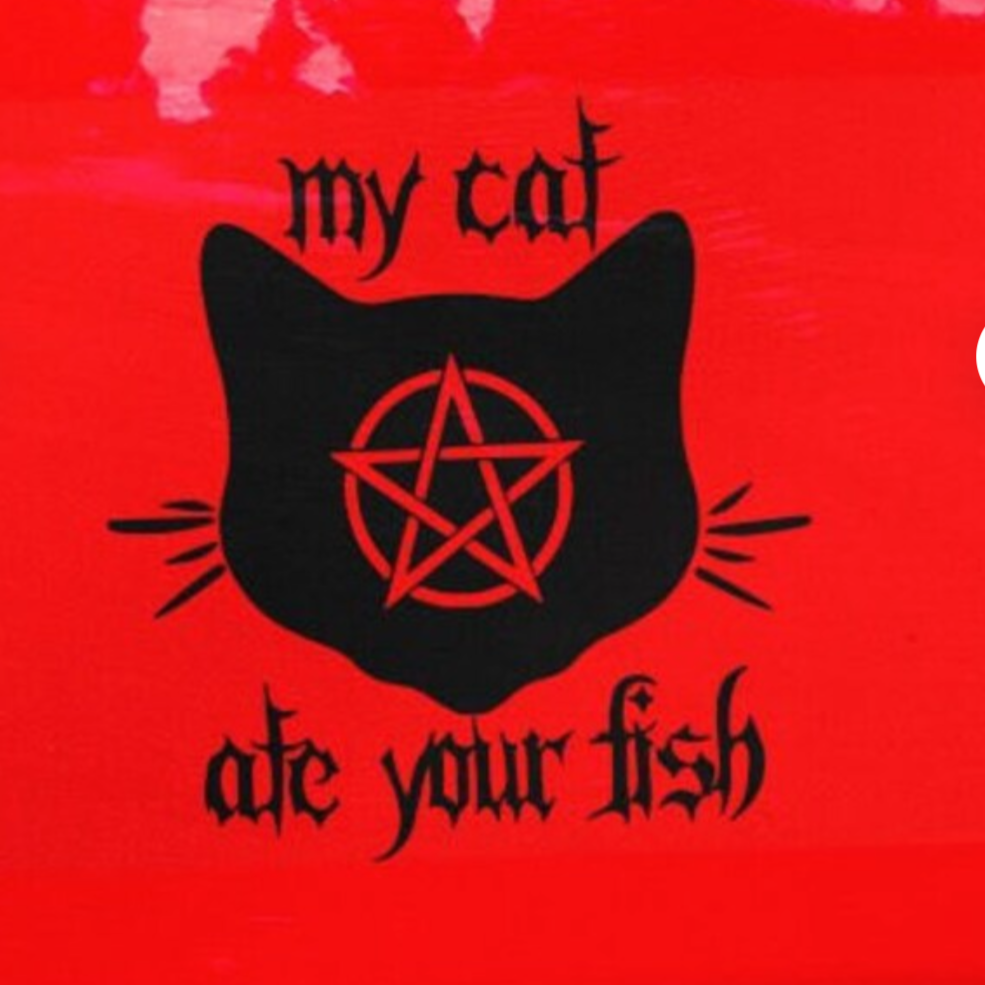 Cat ate sale my fish